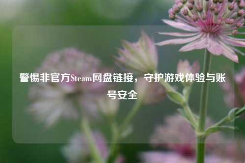 警惕非官方Steam网盘链接,守护游戏体验与账号安全