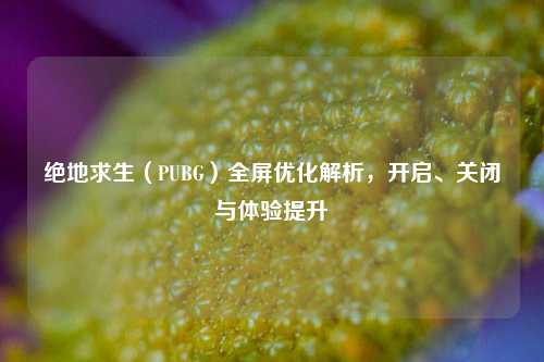 绝地求生（PUBG）全屏优化解析，开启、关闭与体验提升
