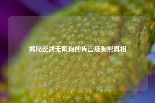揭秘逆战无限狗熊传言及狗熊真相