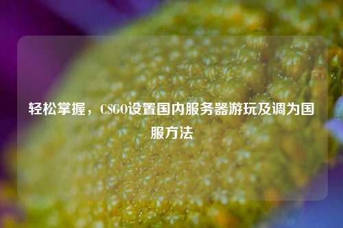 轻松掌握,CSGO设置国内服务器游玩及调为国服方法