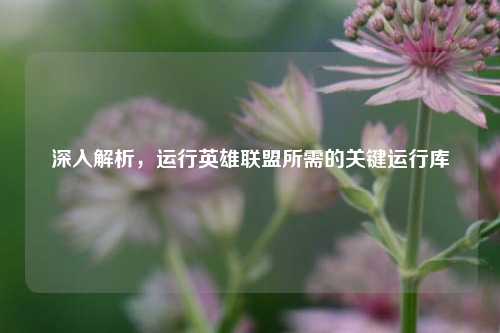 深入解析,运行英雄联盟所需的关键运行库