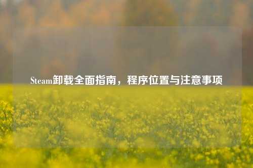 Steam卸载全面指南,程序位置与注意事项
