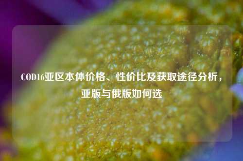 COD16亚区本体价格、性价比及获取途径分析,亚版与俄版如何选