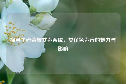 探寻王者荣耀女声系统,女角色声音的魅力与影响