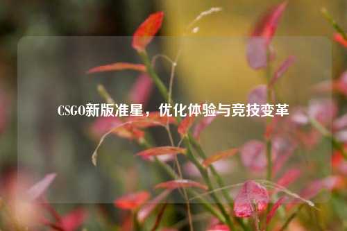 CSGO新版准星,优化体验与竞技变革