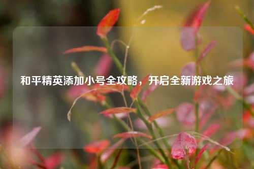 和平精英添加小号全攻略,开启全新游戏之旅