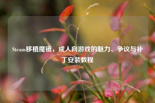 Steam移植魔镜,成人向游戏的魅力、争议与补丁安装教程