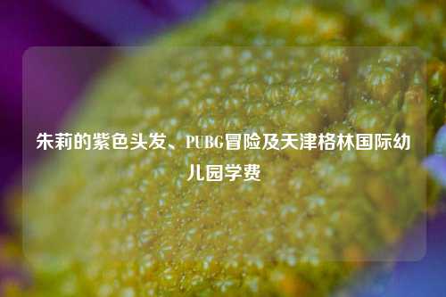 朱莉的紫色头发、PUBG冒险及天津格林国际幼儿园学费