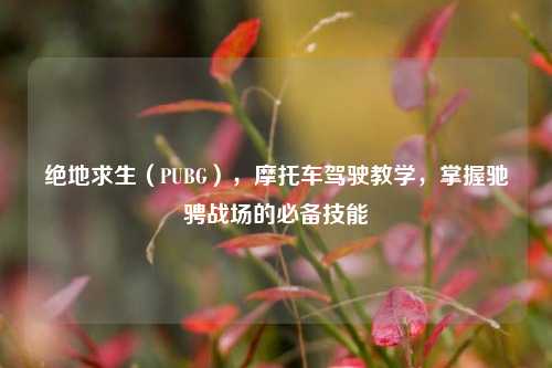 绝地求生(PUBG),摩托车驾驶教学,掌握驰骋战场的必备技能