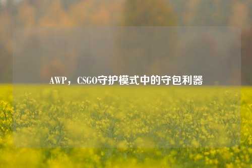 AWP,CSGO守护模式中的守包利器