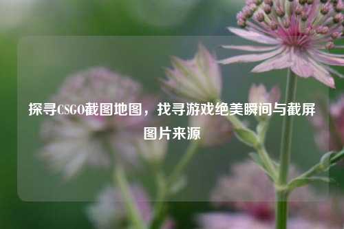 探寻CSGO截图地图,找寻游戏绝美瞬间与截屏图片来源
