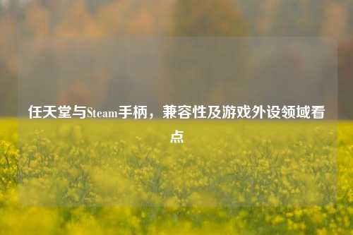 任天堂与Steam手柄,兼容性及游戏外设领域看点