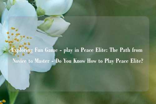 Exploring Fun Game - play in Peace Elite: The Path from Novice to Master - Do You Know How to Play Peace Elite?