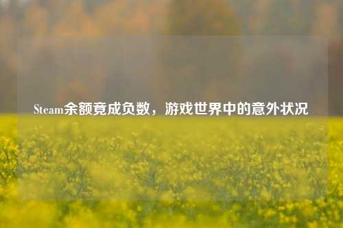 Steam余额竟成负数,游戏世界中的意外状况