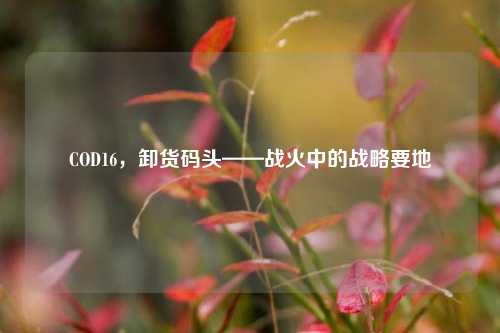 COD16,卸货码头——战火中的战略要地