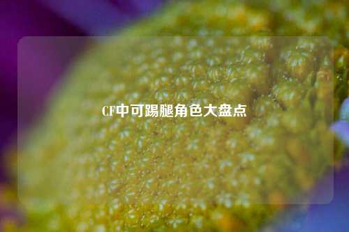 CF中可踢腿角色大盘点