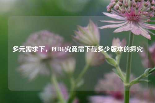 多元需求下,PUBG究竟需下载多少版本的探究