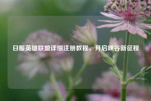 日服英雄联盟详细注册教程,开启峡谷新征程