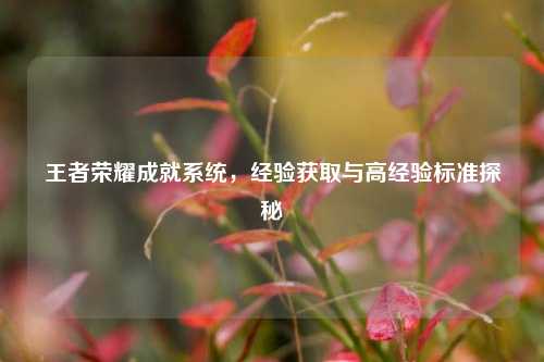 王者荣耀成就系统,经验获取与高经验标准探秘
