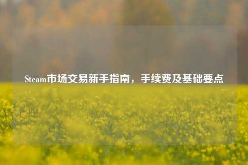 Steam市场交易新手指南,手续费及基础要点