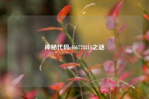 神秘代码cf66778811之谜