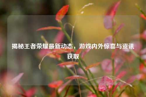 揭秘王者荣耀最新动态,游戏内外惊喜与资讯获取