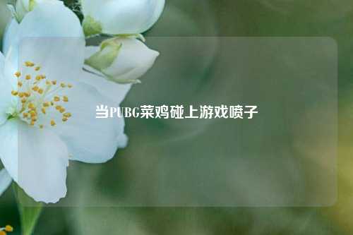 当PUBG菜鸡碰上游戏喷子