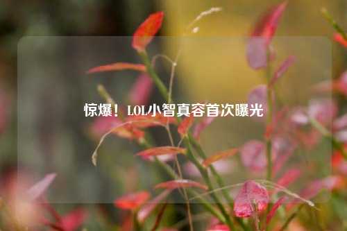 惊爆!LOL小智真容首次曝光