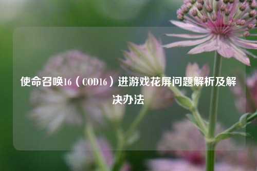 使命召唤16(COD16)进游戏花屏问题解析及解决办法
