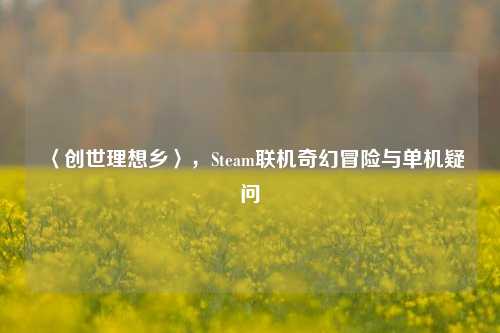 〈创世理想乡〉,Steam联机奇幻冒险与单机疑问