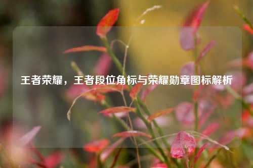 王者荣耀,王者段位角标与荣耀勋章图标解析