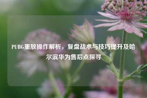 PUBG重放操作解析,复盘战术与技巧提升及哈尔滨华为售后点探寻