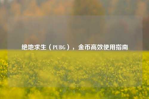 绝地求生(PUBG),金币高效使用指南