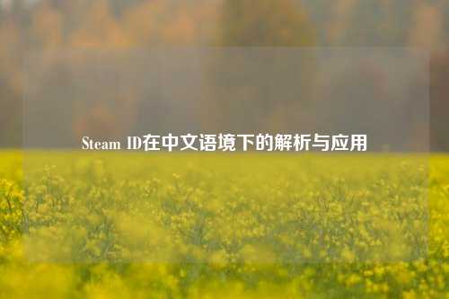 Steam ID在中文语境下的解析与应用
