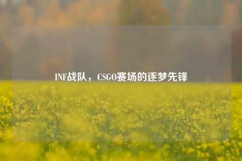 INF战队，CSGO赛场的逐梦先锋