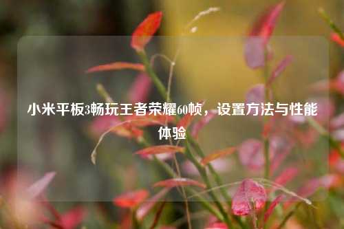 小米平板3畅玩王者荣耀60帧,设置方法与性能体验