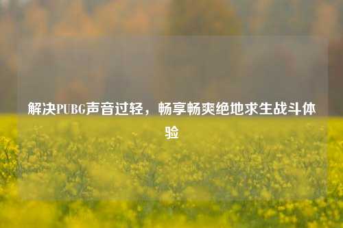 解决PUBG声音过轻,畅享畅爽绝地求生战斗体验