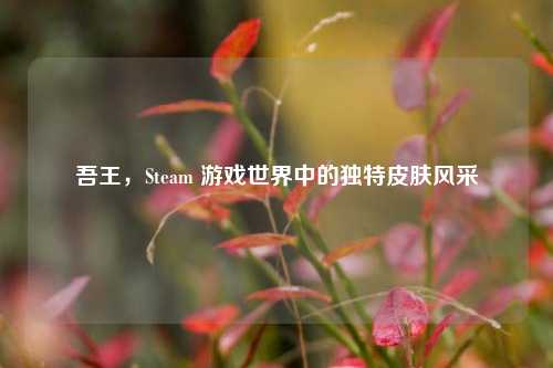 吾王,Steam 游戏世界中的独特皮肤风采