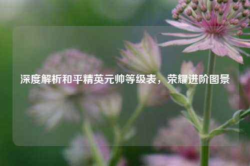深度解析和平精英元帅等级表,荣耀进阶图景