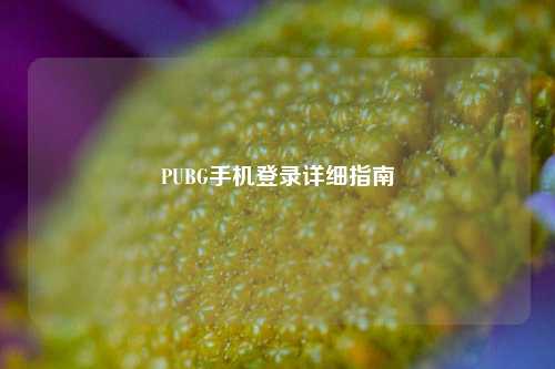 PUBG手机登录详细指南