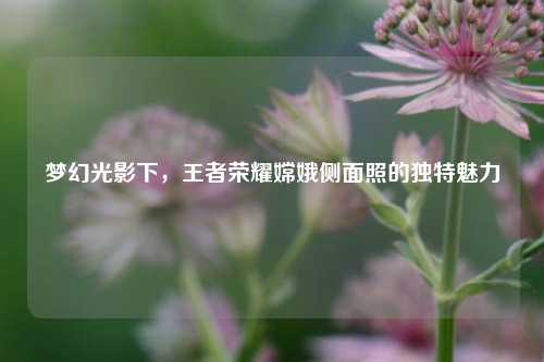 梦幻光影下，王者荣耀嫦娥侧面照的独特魅力