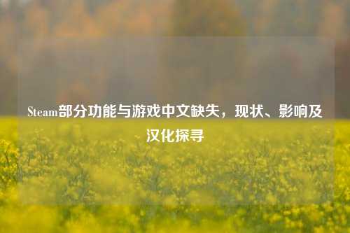 Steam部分功能与游戏中文缺失,现状、影响及汉化探寻