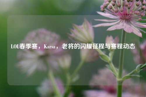 LOL春季赛,Karsa,老将的闪耀征程与赛程动态