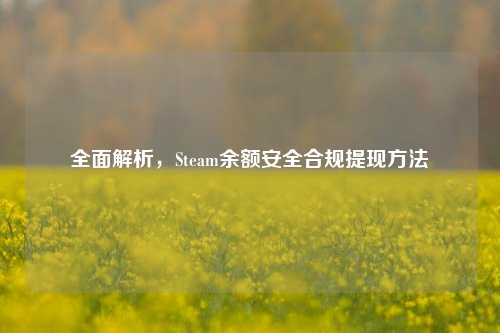 全面解析,Steam余额安全合规提现方法