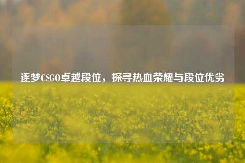 逐梦CSGO卓越段位，探寻热血荣耀与段位优劣