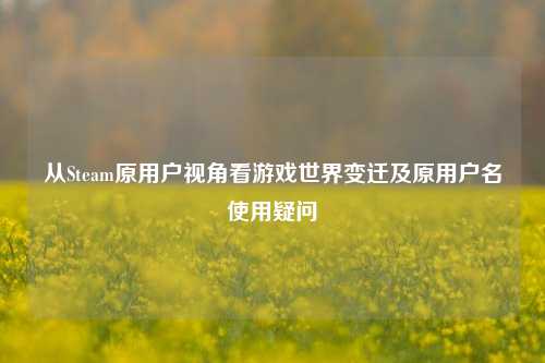 从Steam原用户视角看游戏世界变迁及原用户名使用疑问