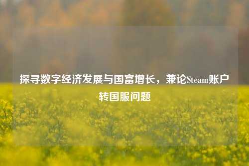 探寻数字经济发展与国富增长，兼论Steam账户转国服问题