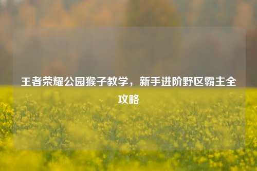 王者荣耀公园猴子教学,新手进阶野区霸主全攻略