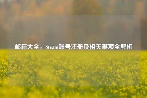 邮箱大全,Steam账号注册及相关事项全解析