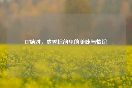CF结对,咸香粽韵里的美味与情谊
